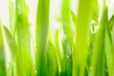 Similar image 454610