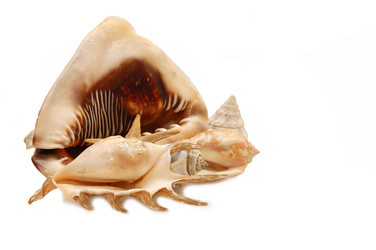 Similar image 454620