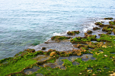 Similar image 454622