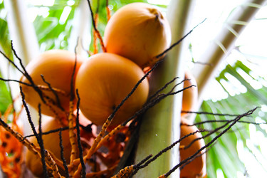 Similar image 454629