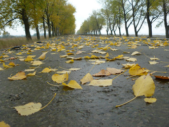 Similar image 454699