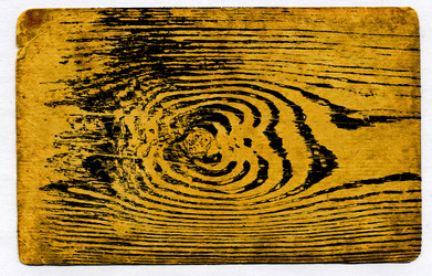 Similar image 454789