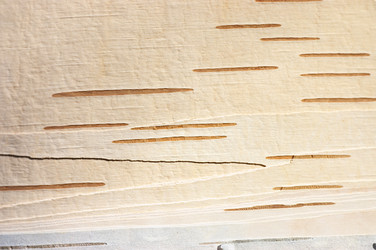 Similar image 454802