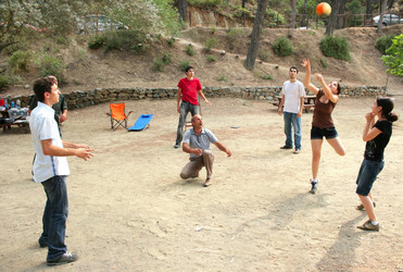 Similar image 454843