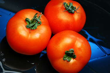 Similar image 454855