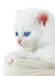 Similar image 454860