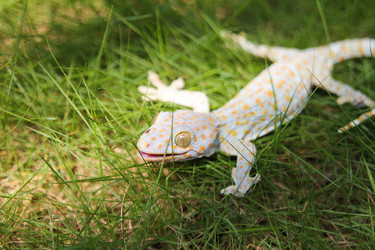 Similar image 454878