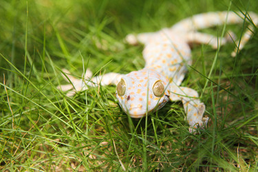 Similar image 454879