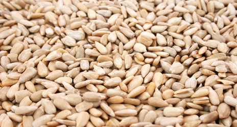 Similar image 454894