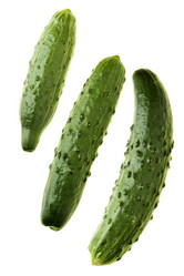 Similar image 454909