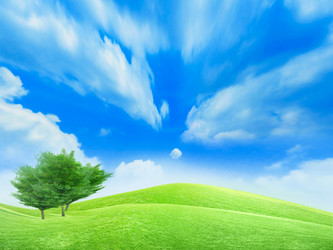 Similar image 454982