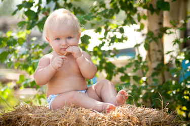 Similar image 454989