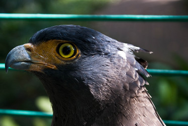 Similar image 455069