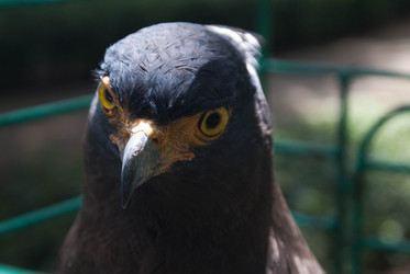 Similar image 455070