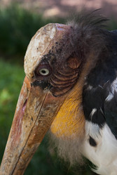 Similar image 455093