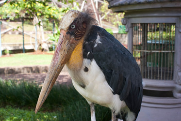 Similar image 455095