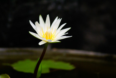 Similar image 455107