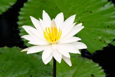 Similar image 455114