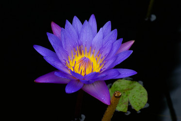 Similar image 455116