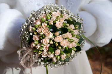 Similar image 455119