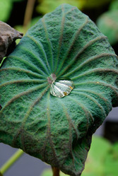 Similar image 455120