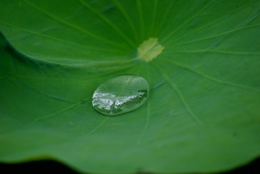 Similar image 455126