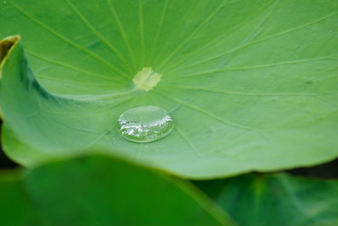 Similar image 455128