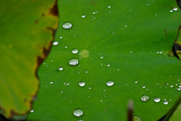 Similar image 455131