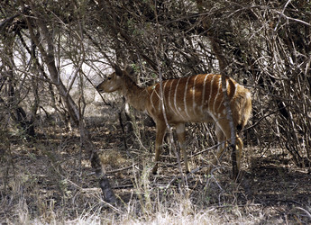 Similar image 455144