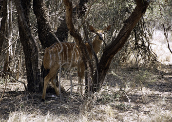 Similar image 455147