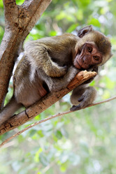 Similar image 455152