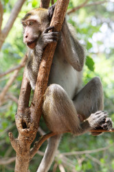 Similar image 455153