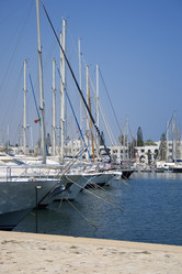 Similar image 455166