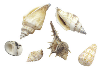 Similar image 455171