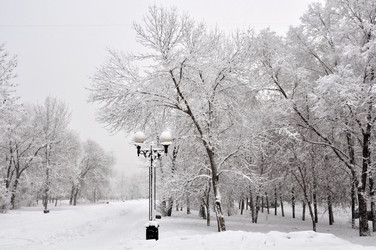 Similar image 455179