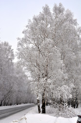 Similar image 455183