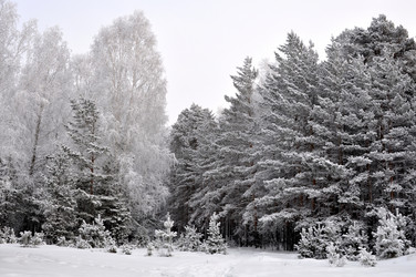 Similar image 455185