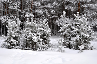 Similar image 455190