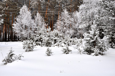 Similar image 455192