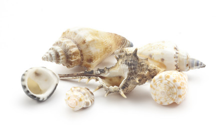 Similar image 455198