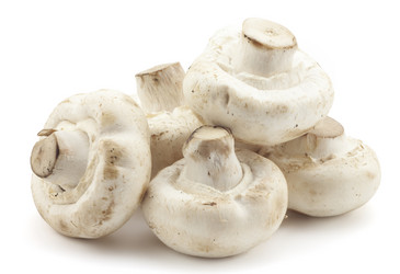 Similar image 455207