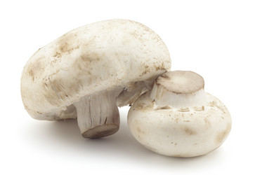 Similar image 455208