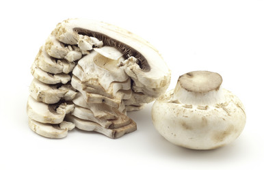 Similar image 455218