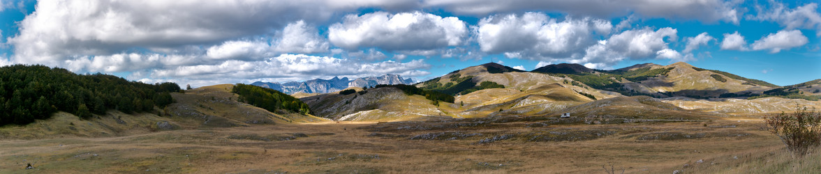 Similar image 455226