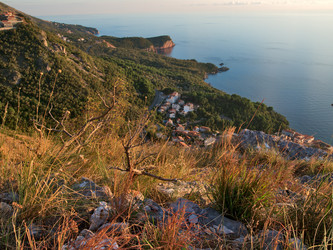 Similar image 455256