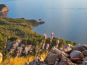 Similar image 455262