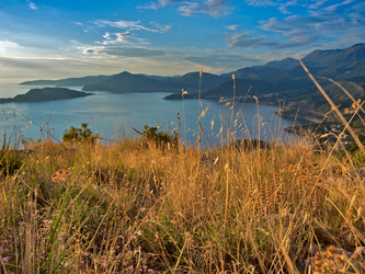 Similar image 455265