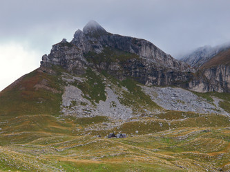 Similar image 455289