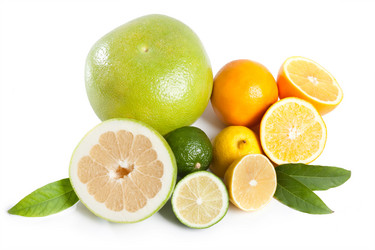 Similar image 455295