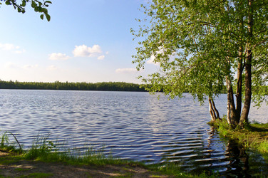 Similar image 455341